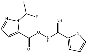CasImg