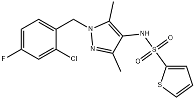 CasImg