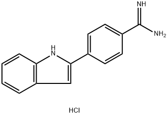 CasImg