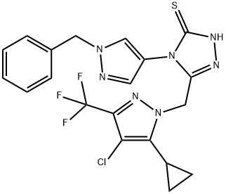 CasImg