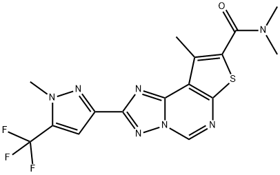 CasImg