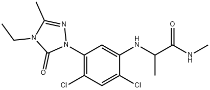 CasImg