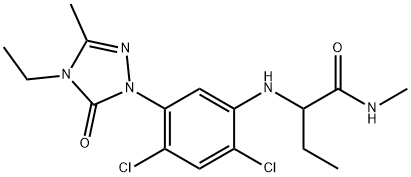 CasImg