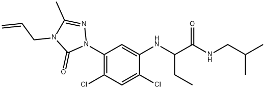 CasImg