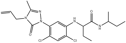 CasImg