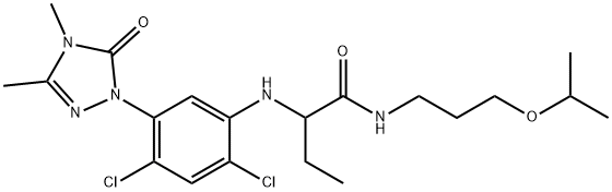 CasImg