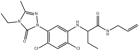 CasImg