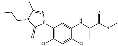 CasImg