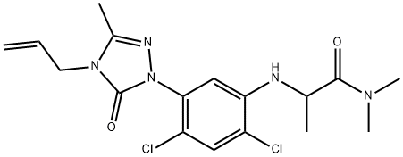 CasImg