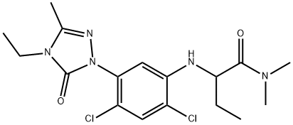 CasImg