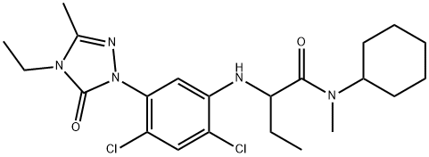 CasImg