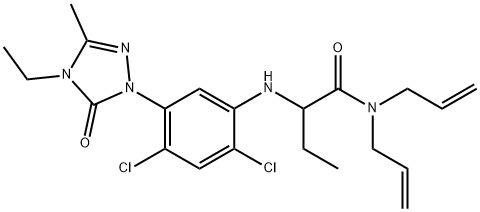 CasImg