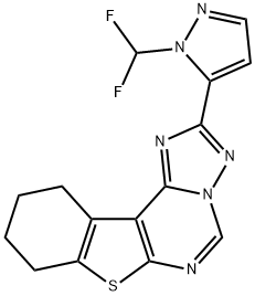 CasImg