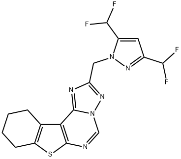 CasImg