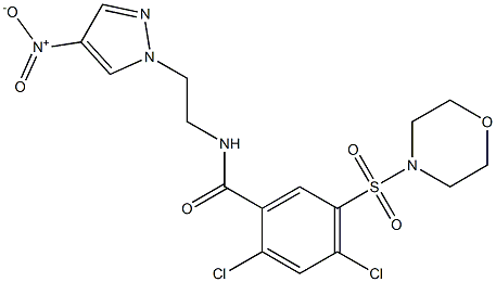 CasImg