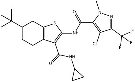 CasImg