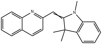 CasImg