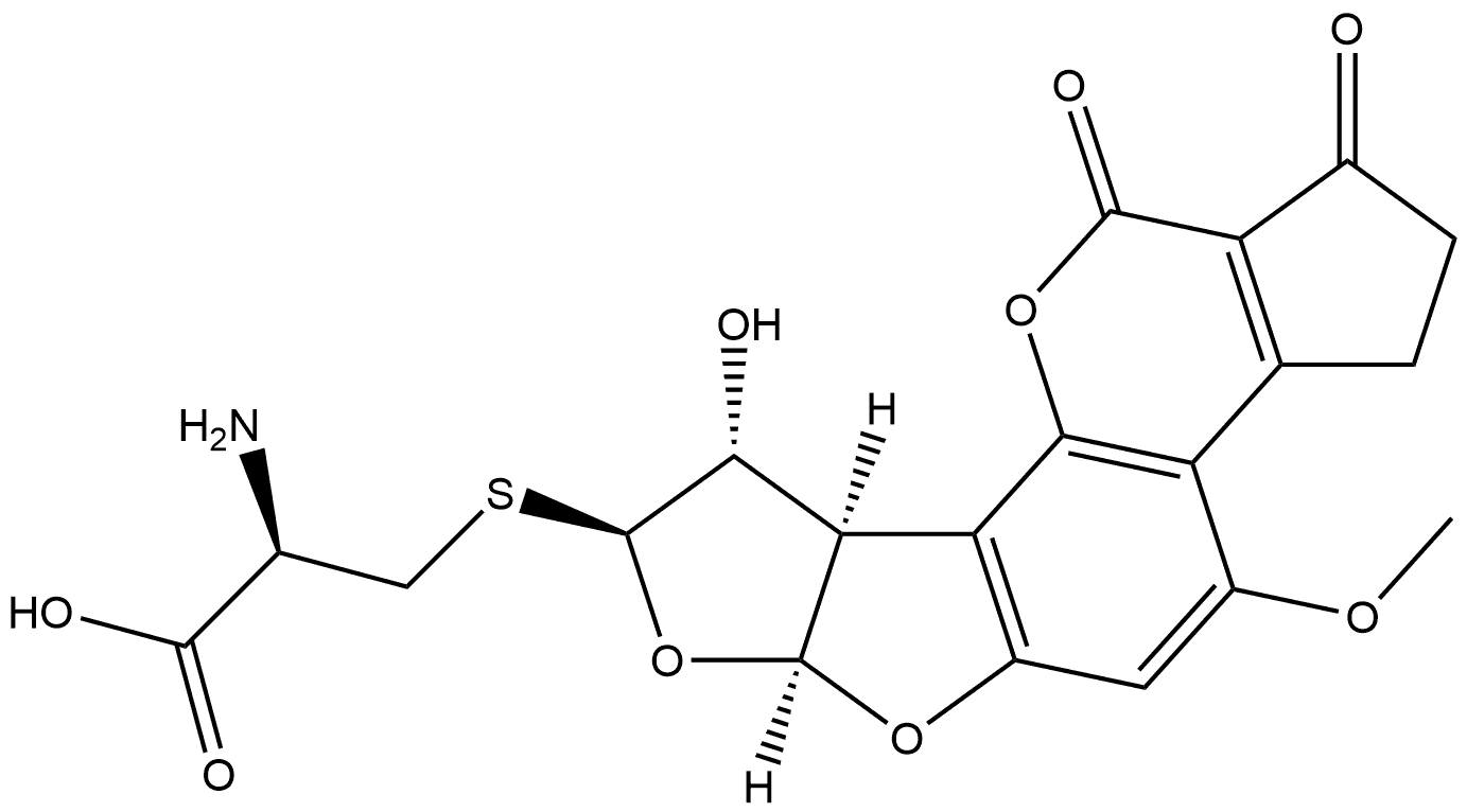 CasImg