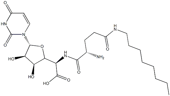 CasImg