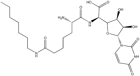 CasImg
