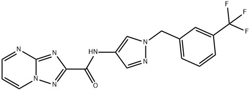 CasImg