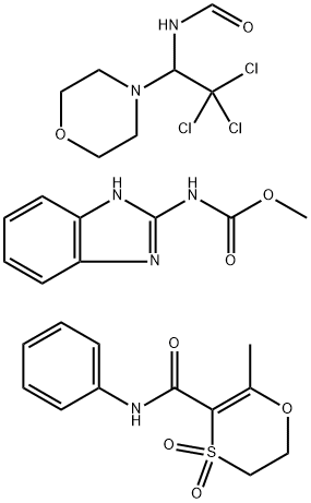 CasImg