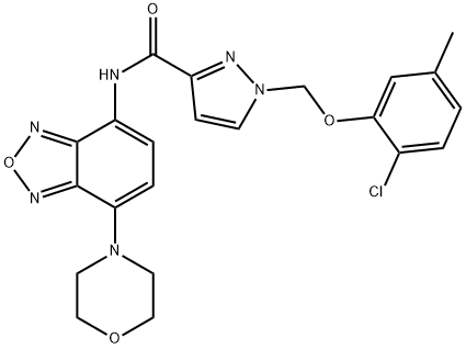 CasImg