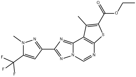 CasImg