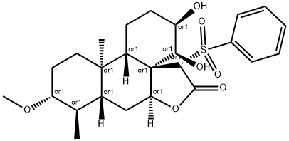 CasImg