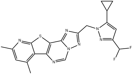 CasImg