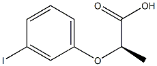 CasImg