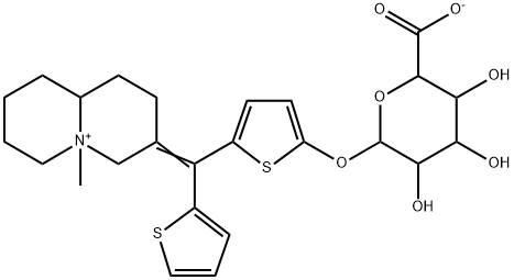 CasImg