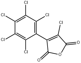 CasImg