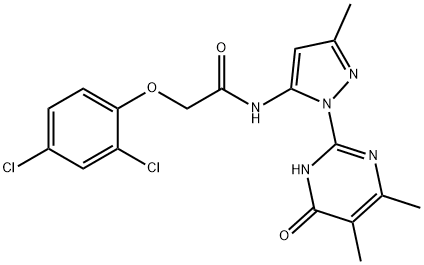 CasImg