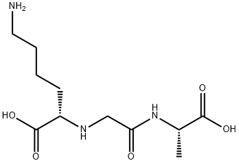 CasImg