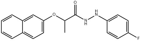 CasImg
