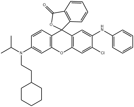 CasImg