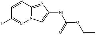 CasImg