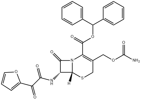 CasImg