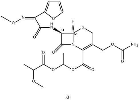 CasImg