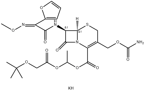 CasImg