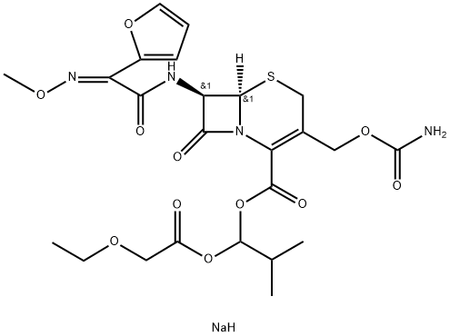 CasImg
