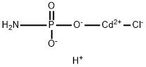 CasImg