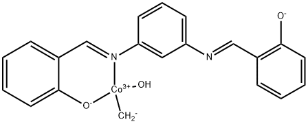 CasImg