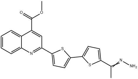 CasImg