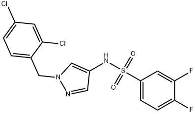 CasImg