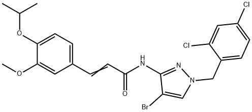 CasImg