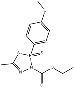 CasImg