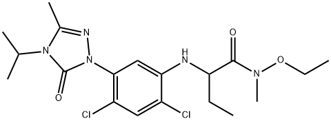 CasImg