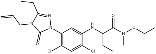 CasImg